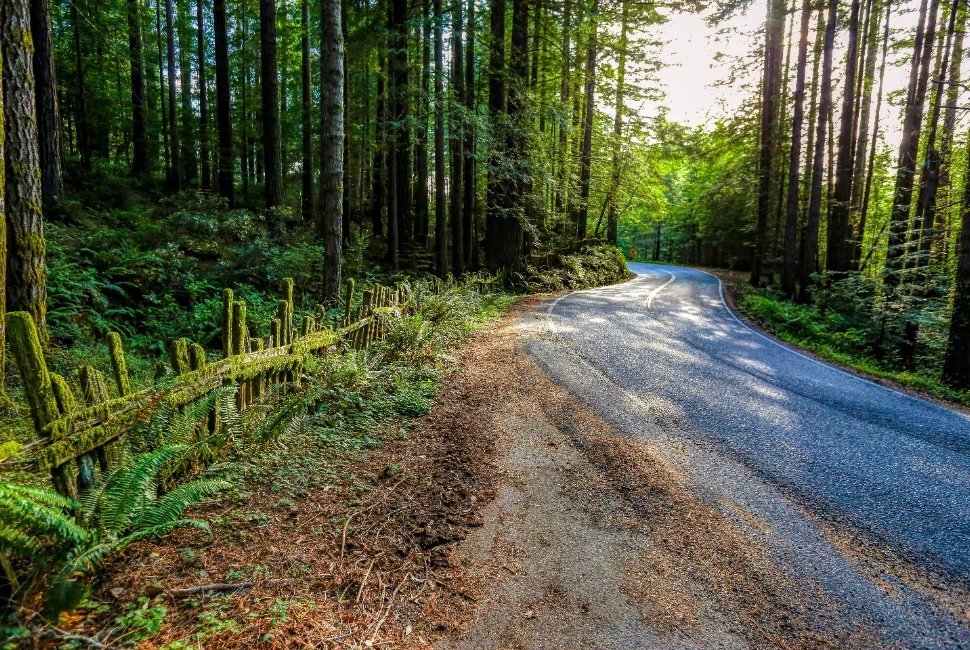 Road Trips from Ukiah: Exploring the Beauty Beyond