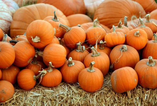 Celebrating Ukiah: Exciting Events and Festivals