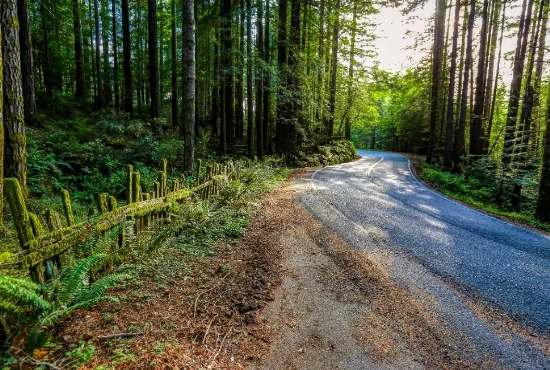 Road Trips from Ukiah: Exploring the Beauty Beyond